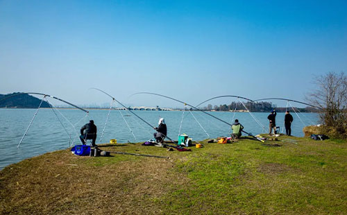 2022武漢釣魚的地方有哪些(8個釣魚好去處)