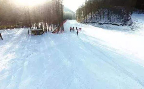 神農架有幾個滑雪場  開放時間都在什么時候