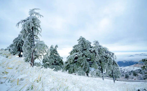 宜昌百里荒滑雪場2022年元旦營業嗎