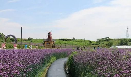 黃岡看花賞花的地方（附黃岡踏青賞花游線路）