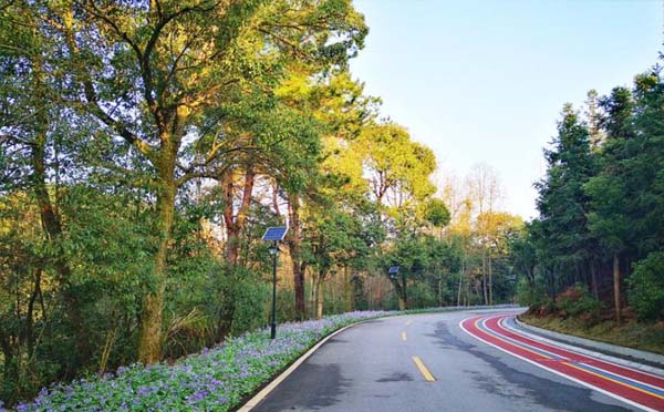 嘉魚縣田野鄉村公園介紹_地址_自駕路線